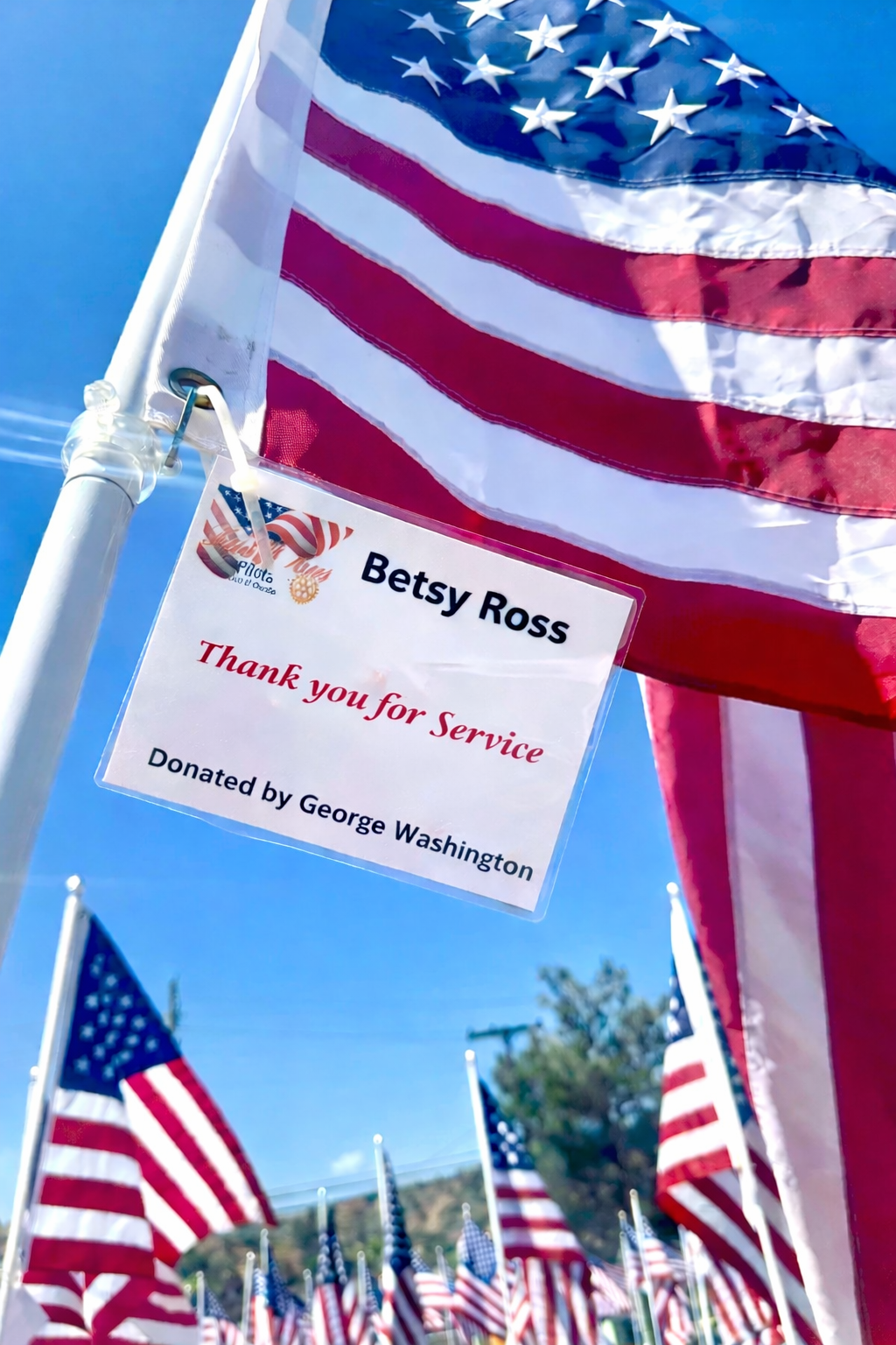 Field of Heroes Flag Tag